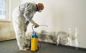 Best Mold Removal for HVAC Installations  in Burns Flat, OK