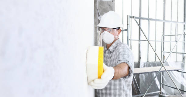 Why You Should Choose Our Mold Remediation Services in Burns Flat, OK