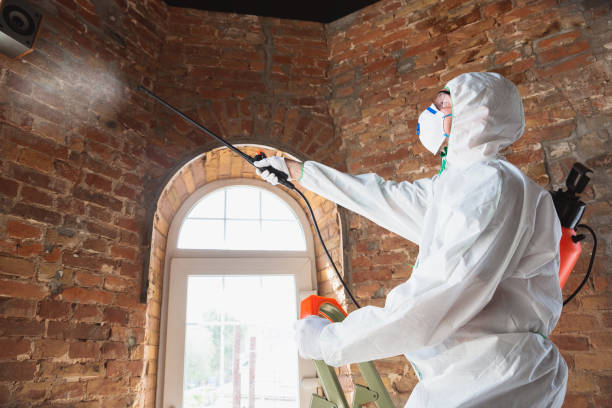 Best Water Damage & Mold Remediation  in Burns Flat, OK